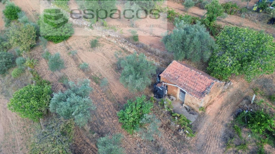 Terreno para Venda em Pero Viseu