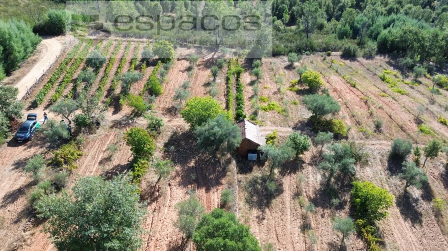 Terreno para Venda em Pero Viseu