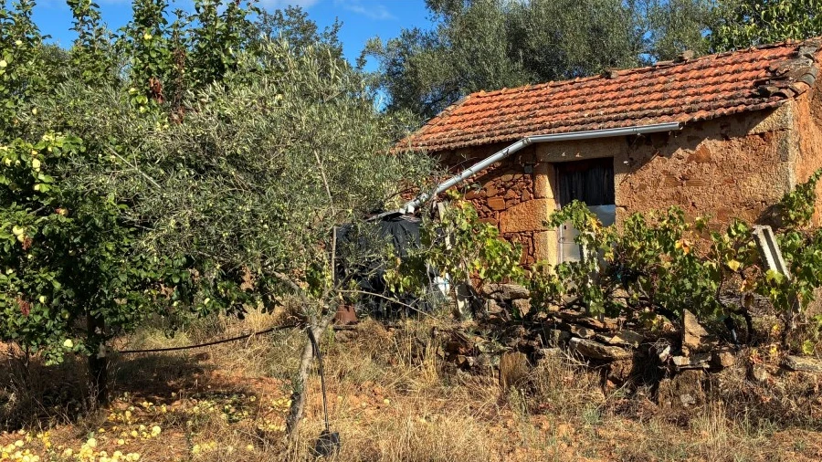 Terreno para Venda em Pero Viseu