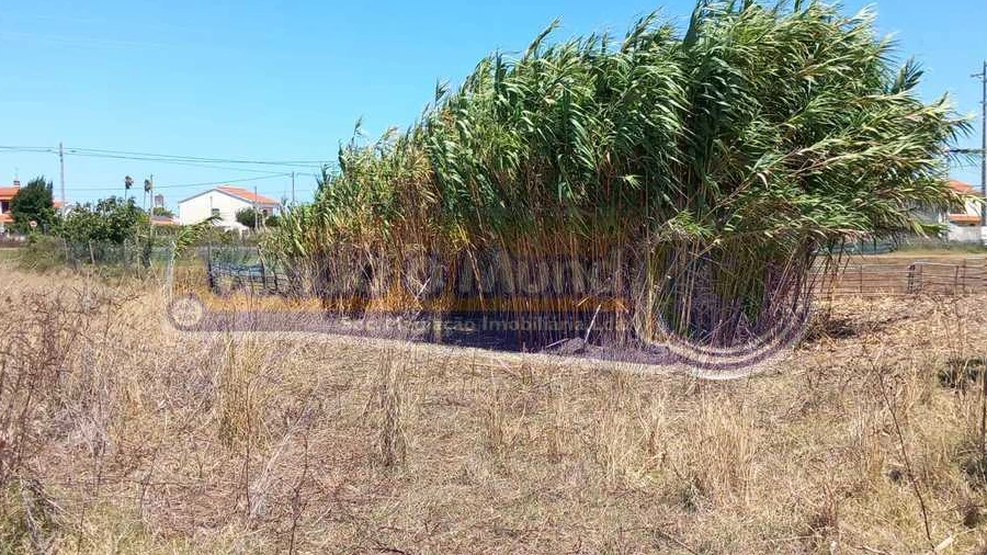 Terreno para Venda em Benavente