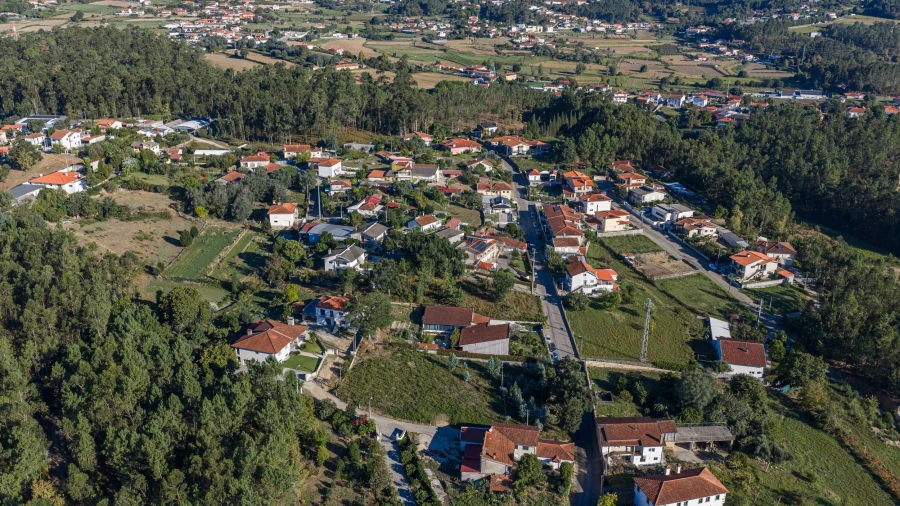 Terreno para Venda em Lama Foto 17