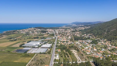 Moradia T3 para Venda em Carreço