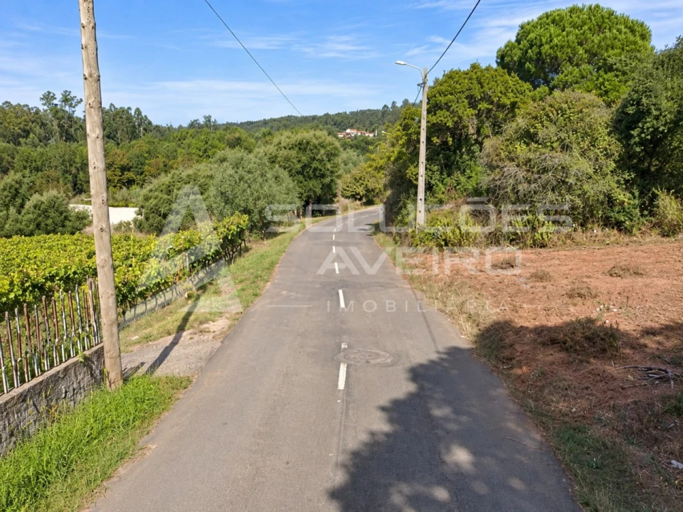 Terreno para Venda em Recardães e Espinhel Foto 7