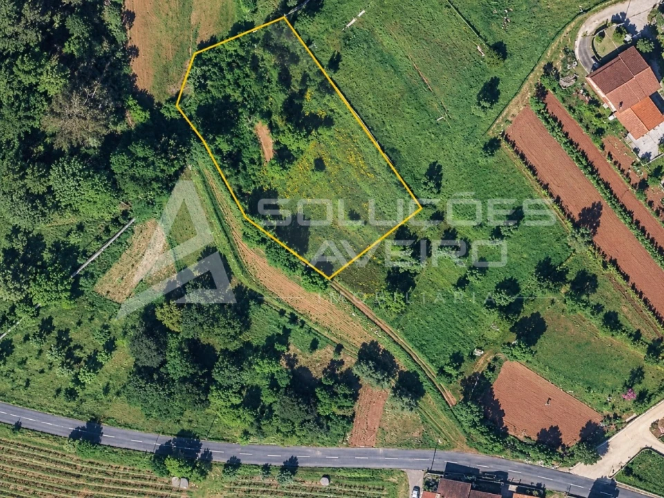 Terreno para Venda em Recardães e Espinhel Foto 2