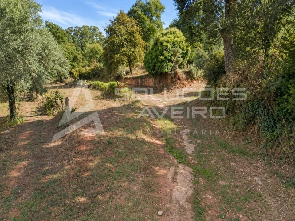 Terreno para Venda em Recardães e Espinhel Foto 3