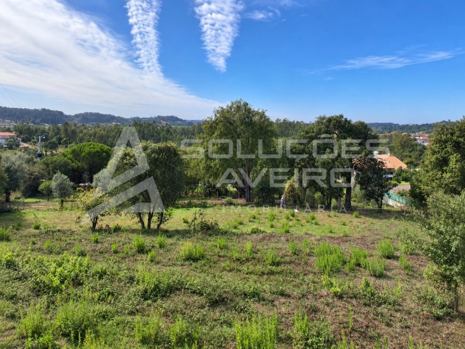 Terreno para Venda em Recardães e Espinhel Foto 4