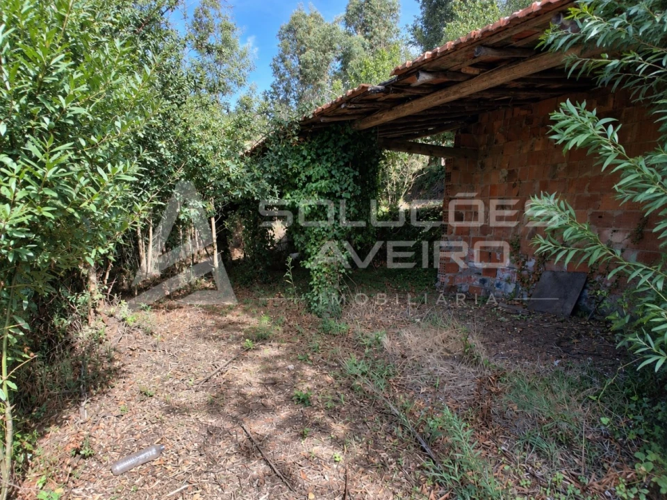 Terreno para Venda em Recardães e Espinhel Foto 5