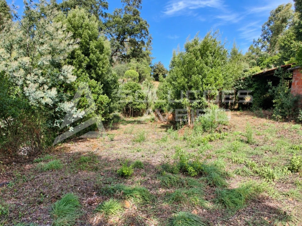 Terreno para Venda em Recardães e Espinhel Foto 6