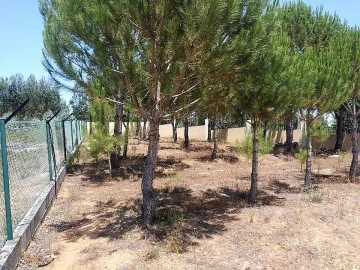 Moradia T4 para Venda em Arrouquelas
