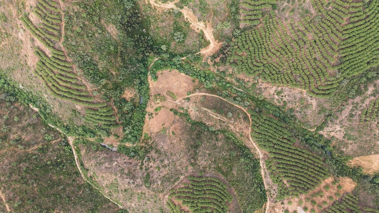 Quinta T5 para Venda em Boavista dos Pinheiros Foto 3