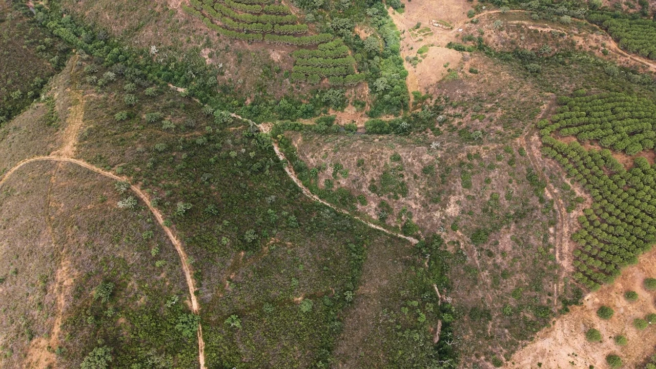 Quinta T5 para Venda em Boavista dos Pinheiros Foto 6