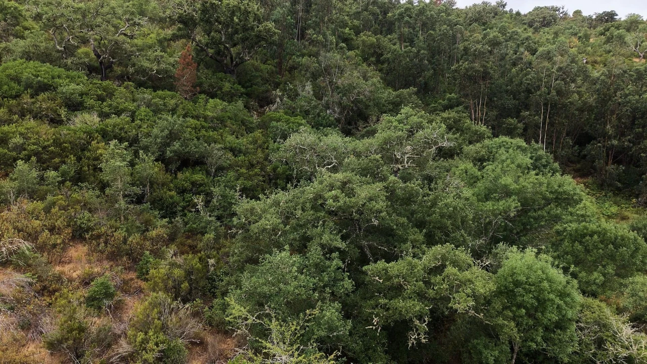 Quinta T5 para Venda em Boavista dos Pinheiros Foto 51