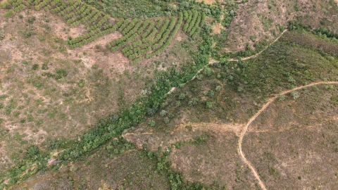Quinta T5 para Venda em Boavista dos Pinheiros