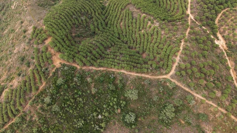 Quinta T5 para Venda em Boavista dos Pinheiros
