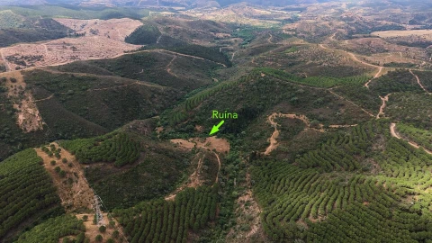 Quinta T5 para Venda em Boavista dos Pinheiros
