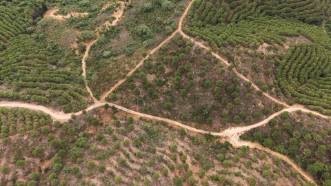 Quinta T5 para Venda em Boavista dos Pinheiros