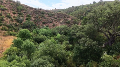 Quinta T5 para Venda em Boavista dos Pinheiros