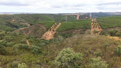 Quinta T5 para Venda em Boavista dos Pinheiros