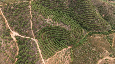Quinta T5 para Venda em Boavista dos Pinheiros