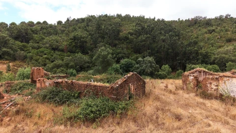 Quinta T5 para Venda em Boavista dos Pinheiros