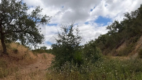 Quinta T5 para Venda em Boavista dos Pinheiros