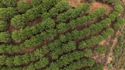 Quinta T5 para Venda em Boavista dos Pinheiros