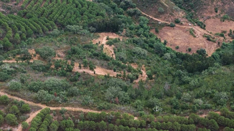 Quinta T5 para Venda em Boavista dos Pinheiros