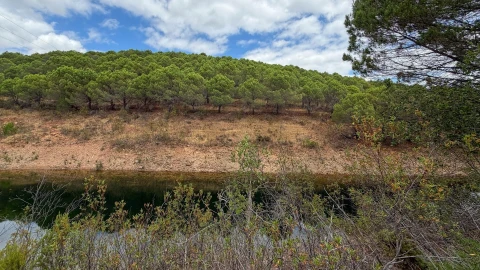 Quinta T5 para Venda em Boavista dos Pinheiros
