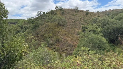 Quinta T5 para Venda em Boavista dos Pinheiros