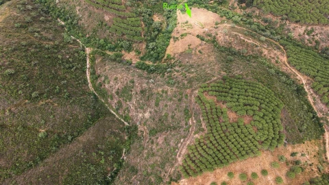 Quinta T5 para Venda em Boavista dos Pinheiros