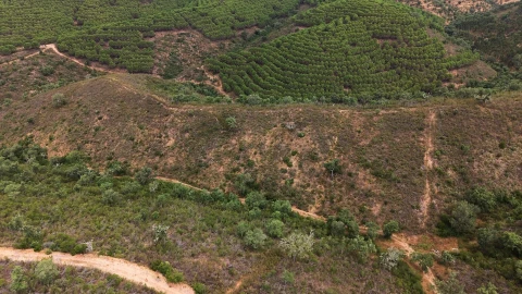Quinta T5 para Venda em Boavista dos Pinheiros