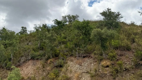 Quinta T5 para Venda em Boavista dos Pinheiros