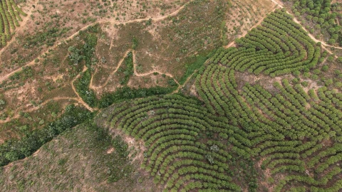 Quinta T5 para Venda em Boavista dos Pinheiros