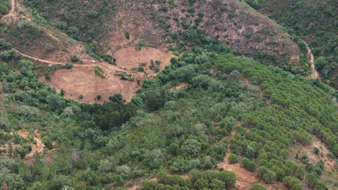 Quinta T5 para Venda em Boavista dos Pinheiros