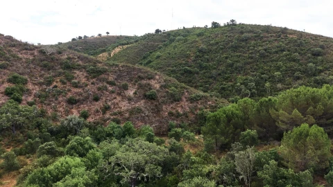 Quinta T5 para Venda em Boavista dos Pinheiros
