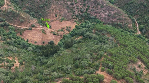 Quinta T5 para Venda em Boavista dos Pinheiros