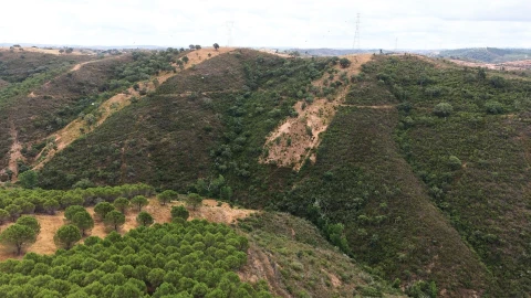 Quinta T5 para Venda em Boavista dos Pinheiros