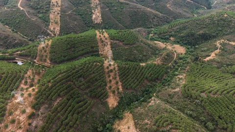 Quinta T5 para Venda em Boavista dos Pinheiros