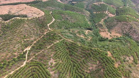 Quinta T5 para Venda em Boavista dos Pinheiros