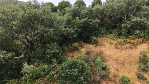 Quinta T5 para Venda em Boavista dos Pinheiros