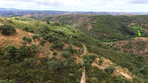 Quinta T5 para Venda em Boavista dos Pinheiros