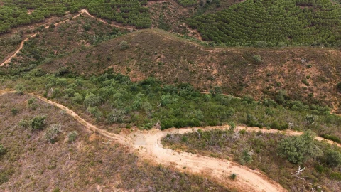 Quinta T5 para Venda em Boavista dos Pinheiros