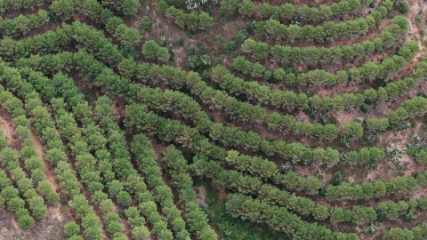 Quinta T5 para Venda em Boavista dos Pinheiros