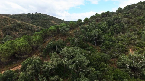 Quinta T5 para Venda em Boavista dos Pinheiros