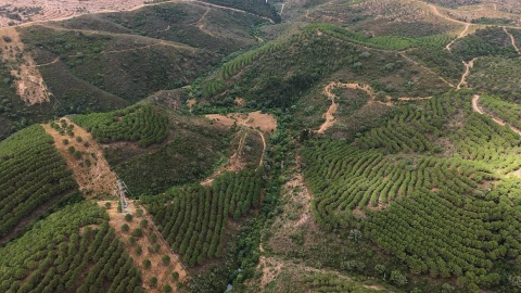 Quinta T5 para Venda em Boavista dos Pinheiros