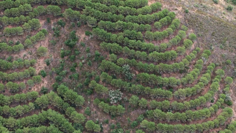Quinta T5 para Venda em Boavista dos Pinheiros