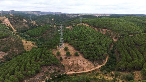 Quinta T5 para Venda em Boavista dos Pinheiros