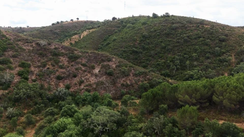 Quinta T5 para Venda em Boavista dos Pinheiros