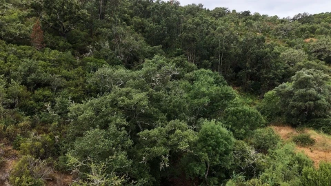 Quinta T5 para Venda em Boavista dos Pinheiros