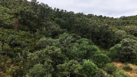 Quinta T5 para Venda em Boavista dos Pinheiros